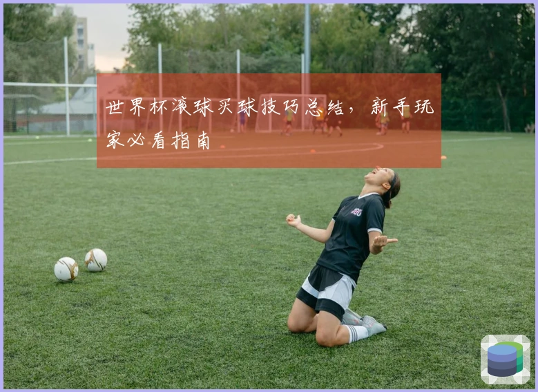 世界杯滚球买球技巧总结，新手玩家必看指南