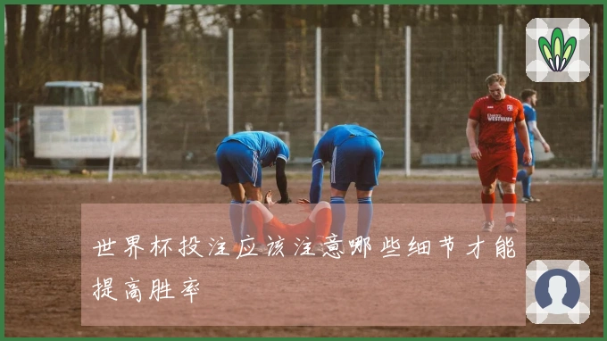 世界杯投注应该注意哪些细节才能提高胜率