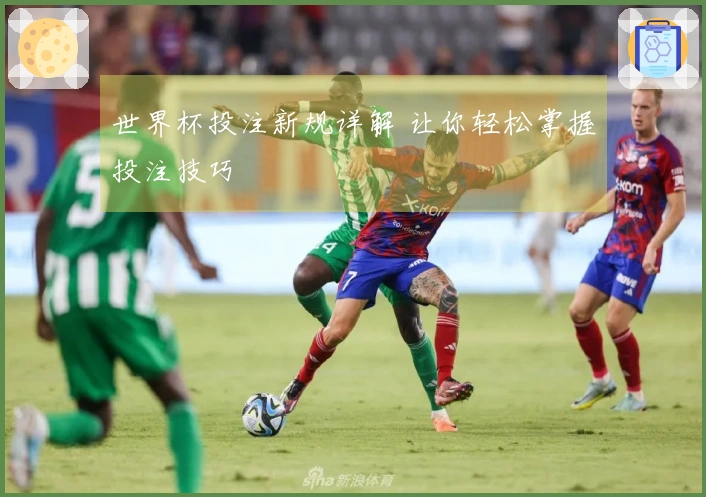 世界杯投注新规详解 让你轻松掌握投注技巧