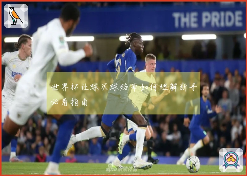 世界杯让球买球赔率如何理解新手必看指南
